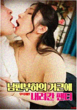 美国派6在线观看封面